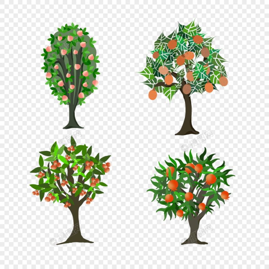 多种类彩色水果树图片