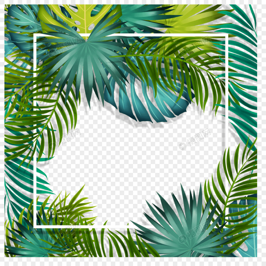 手绘夏天棕榈叶立体白色正方形线条边框图片