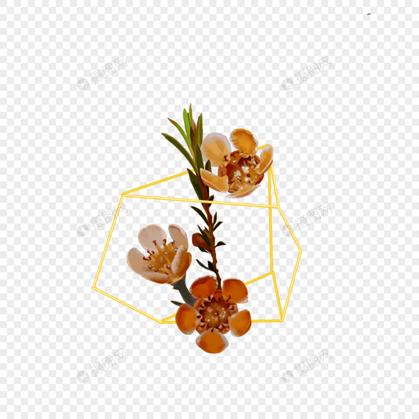 几何金框婚礼花卉橙色图片