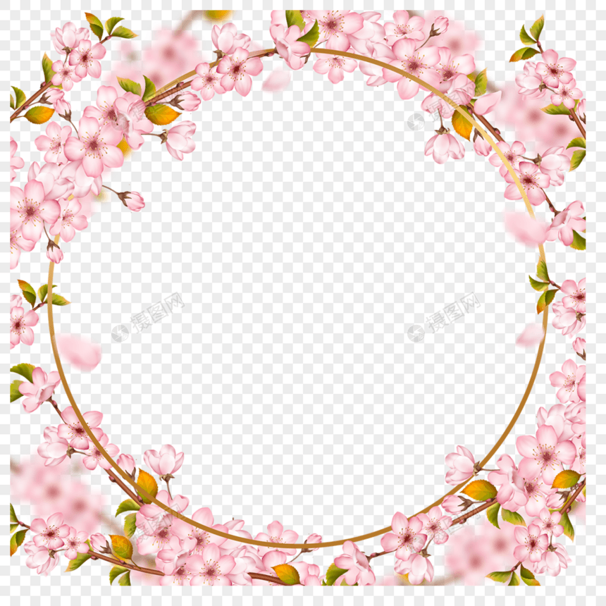 春天樱花枝条金色线条边框图片