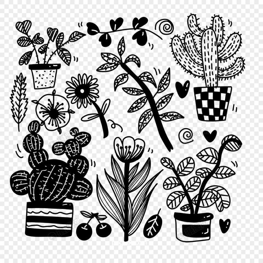 花草植物盆栽单线黑白涂鸦图片