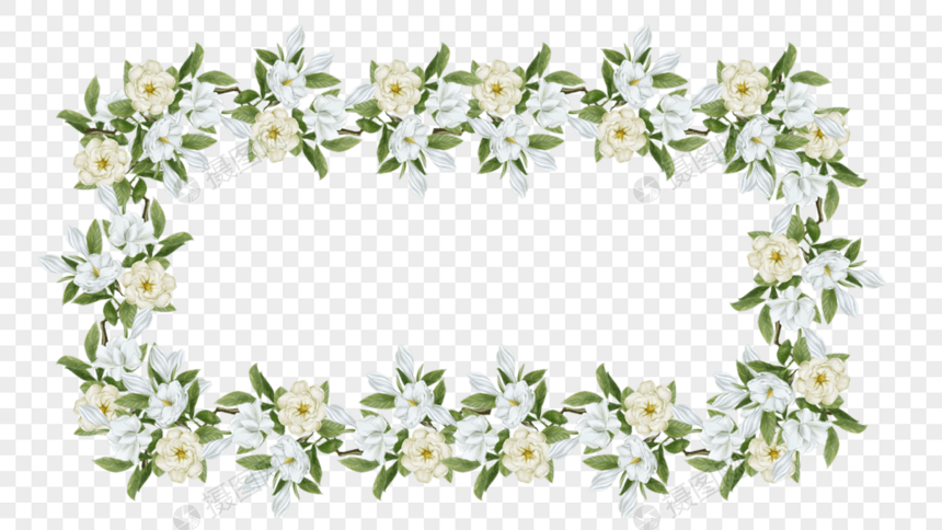 花卉盛开白色鲜花装饰边框图片
