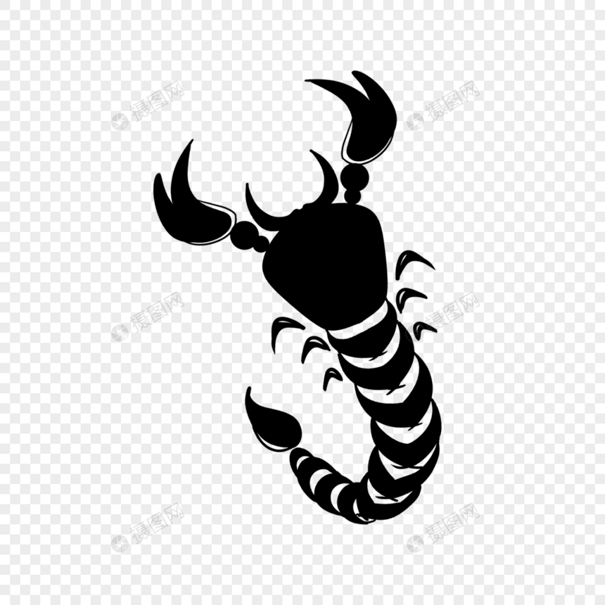 蝎子纹身单色昆虫图案图片
