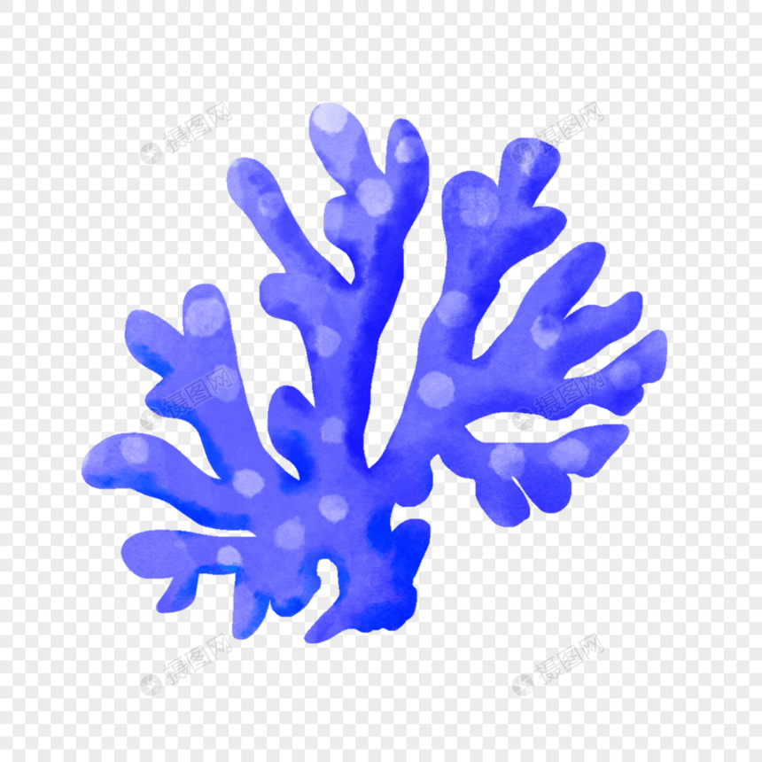 蓝珊瑚海底生物图片卡通图片