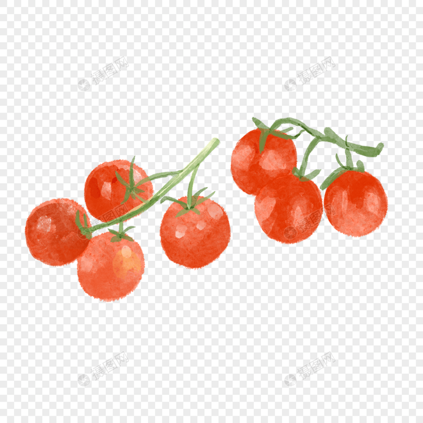 西红柿两串水彩蔬菜水果图片