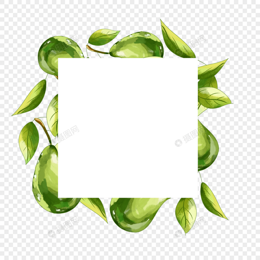 水彩牛油果水果方形边框图片