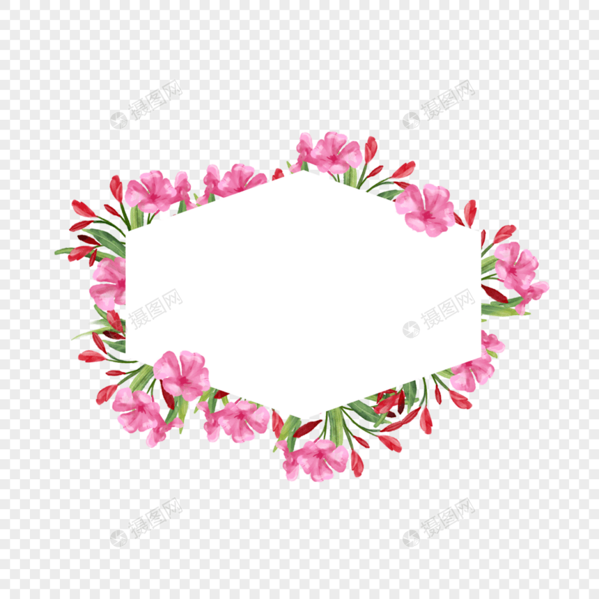 水彩夹竹桃花卉几何边框图片