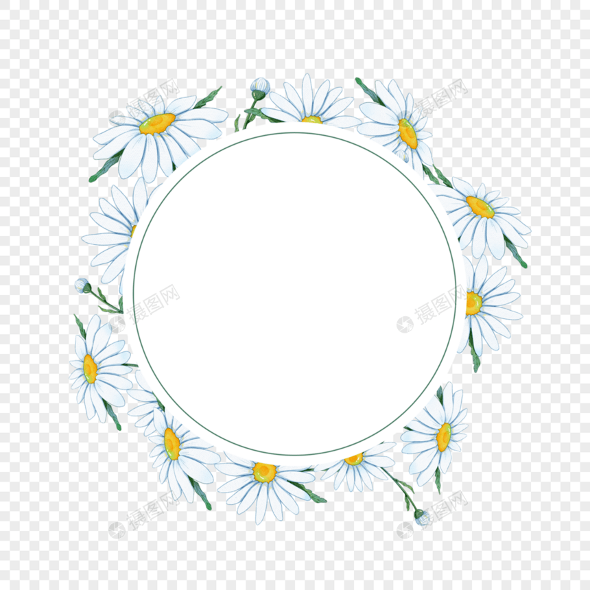 水彩洋甘菊花卉圆形线条植物边框图片