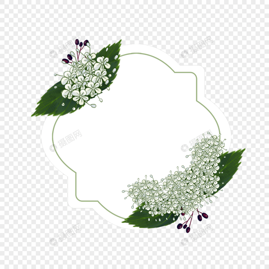 淡雅水彩荚蒾花卉边框图片