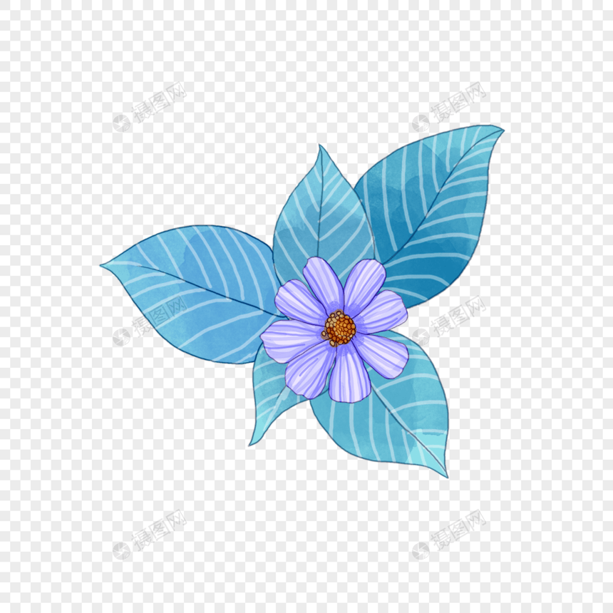 蓝色叶子和紫色花朵图片