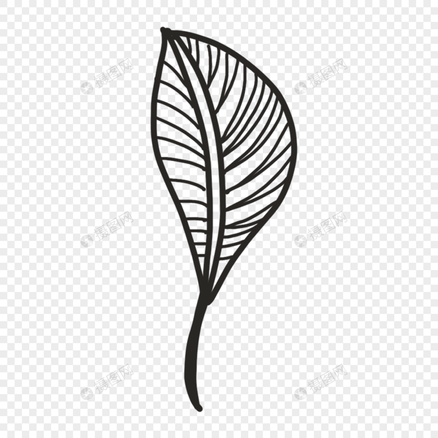 弯曲镂空叶片雕刻风格植物叶子图片