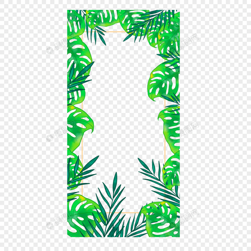 夏季绿色热带树叶植物边框创意图片