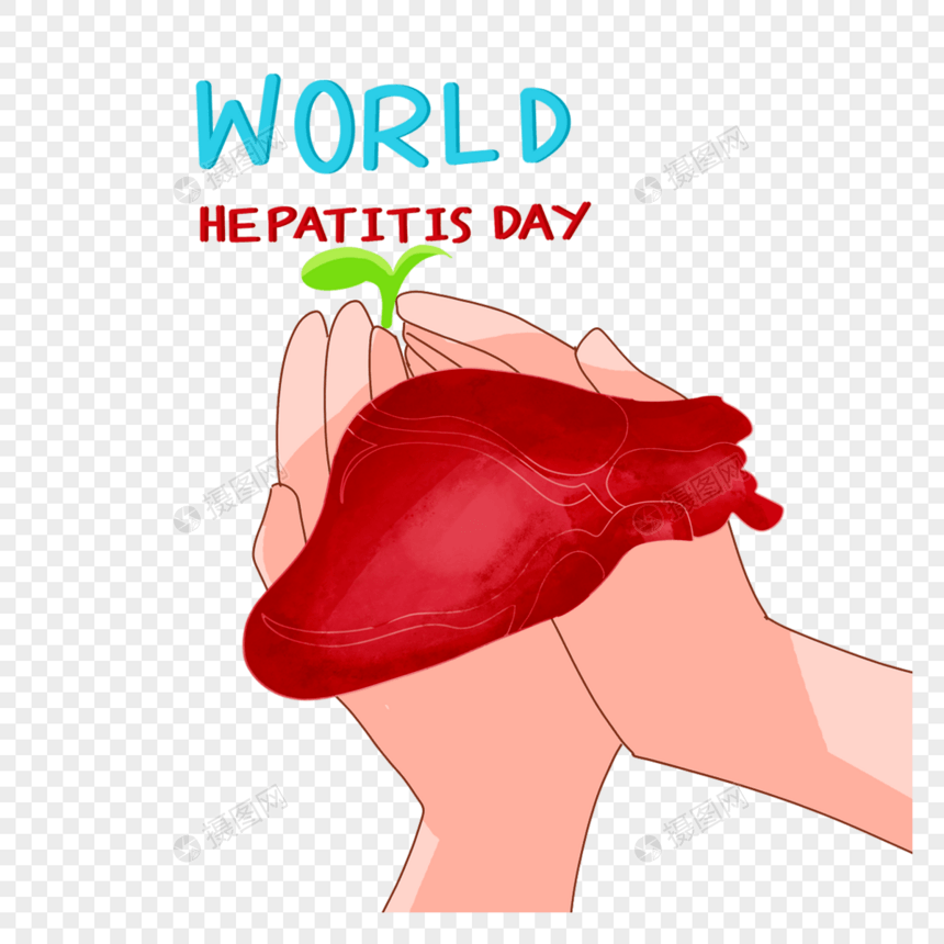 爱护世界肝炎日图片