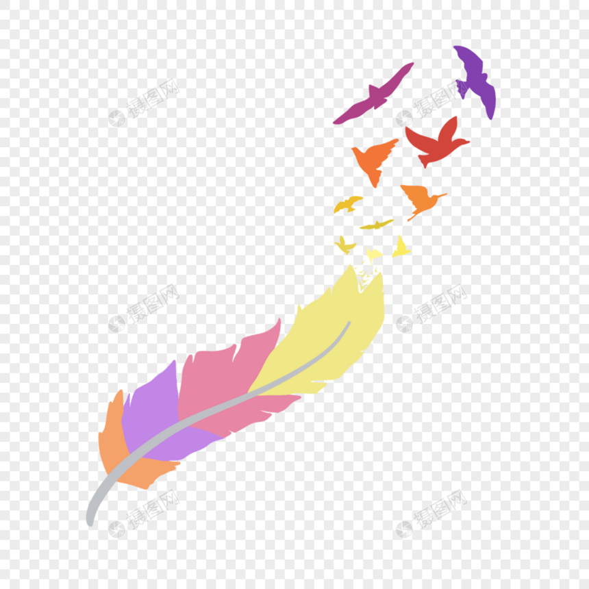 彩色抽象风格的羽毛图片