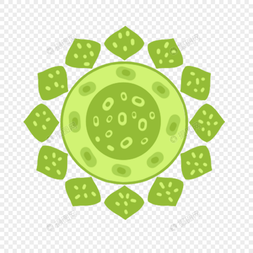 绿色细菌卡通微生物图片