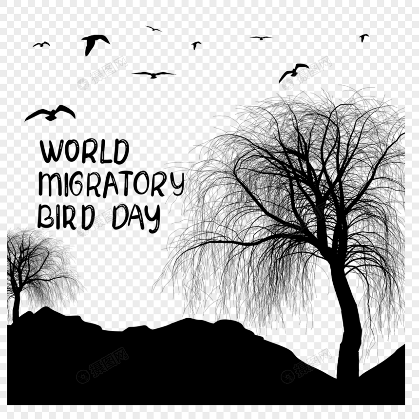 世界候鸟日垂下的柳枝和飞鸟图片