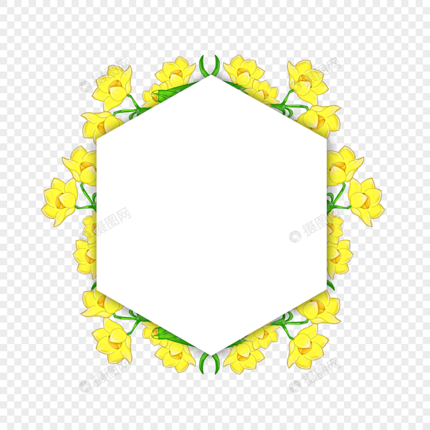 水彩水仙花卉边框黄色图片