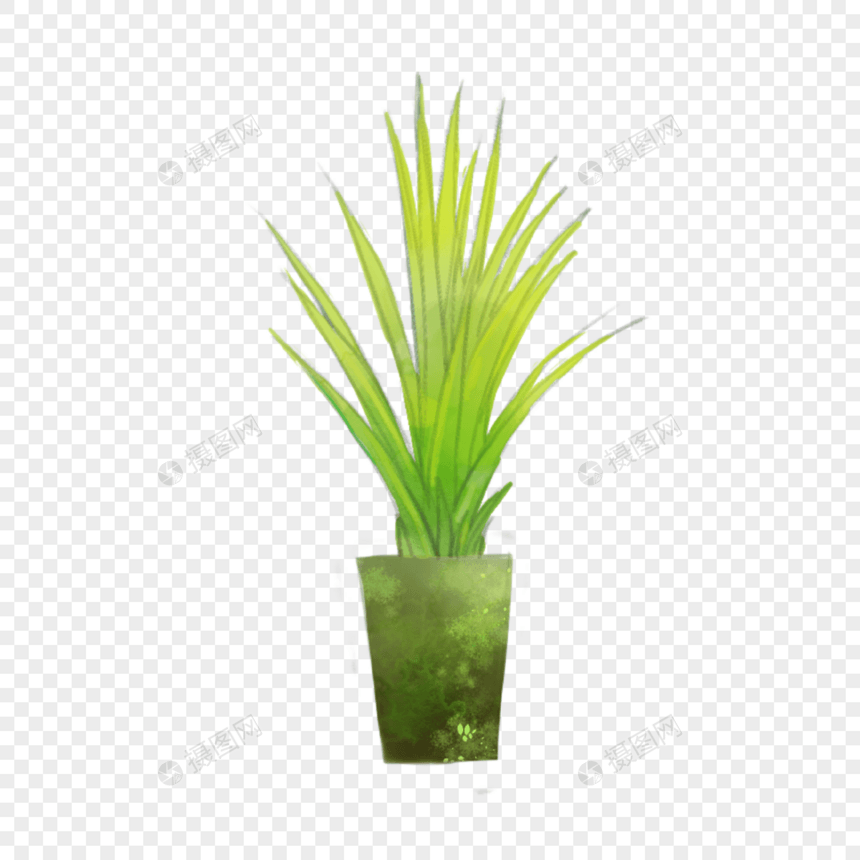 绿色卡通长叶室内植物盆栽图片