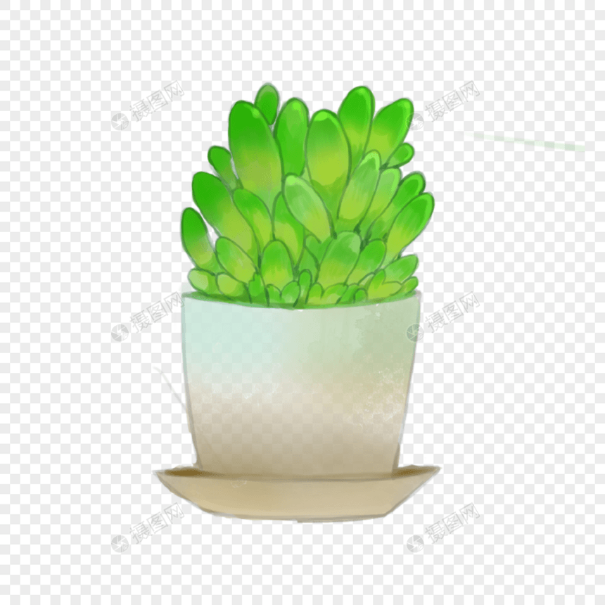 绿色卡通多肉室内植物盆栽图片