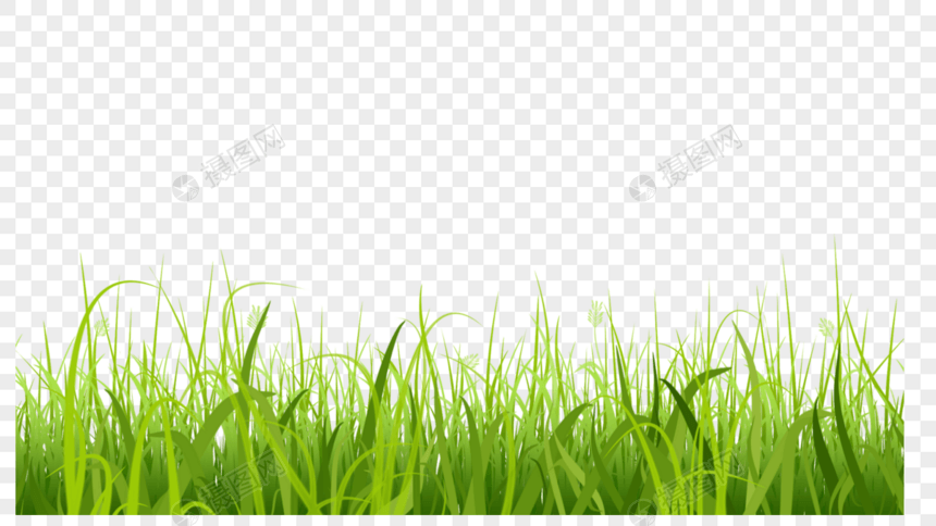 草地绿色茂密草丛图片