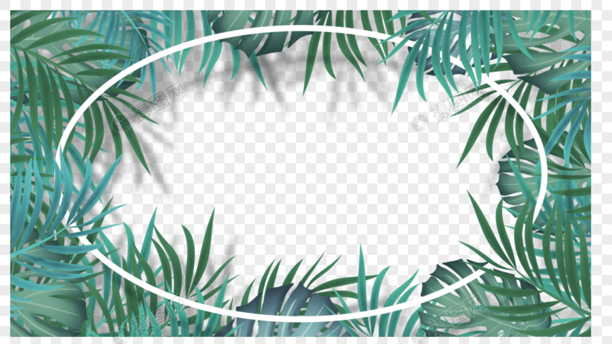 棕榈叶细长树叶装饰边框图片