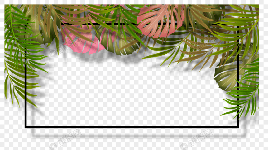 棕榈叶彩色叶片植物边框图片