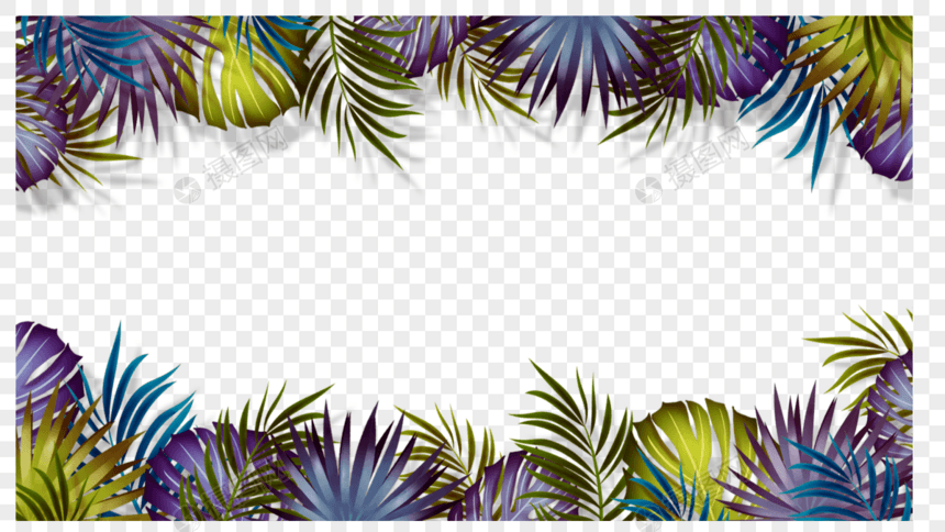 棕榈叶创意彩色叶片边框图片