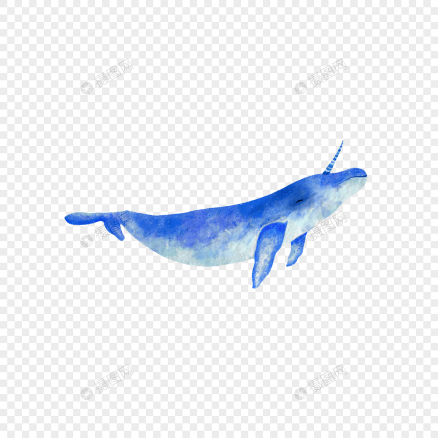 独角鲸水彩生物蓝色图片