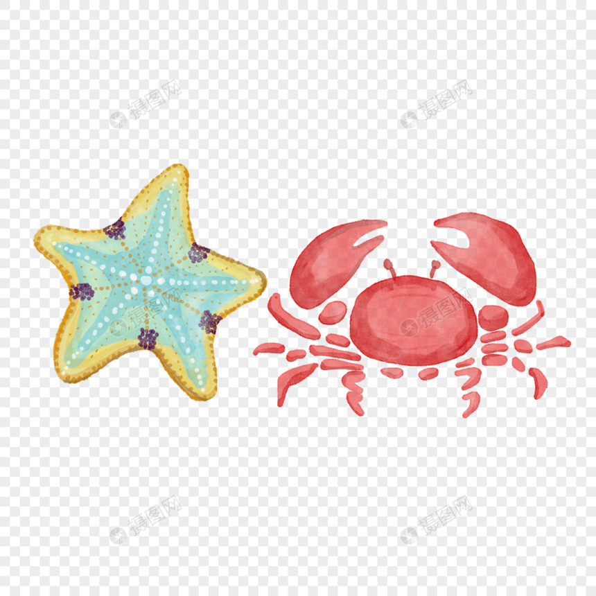 海洋里海星与海蟹图片