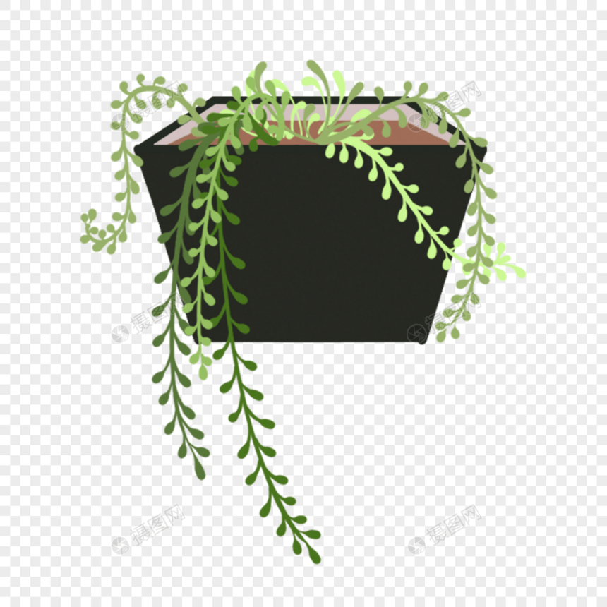 波西米亚风格黑色花盆植物图片