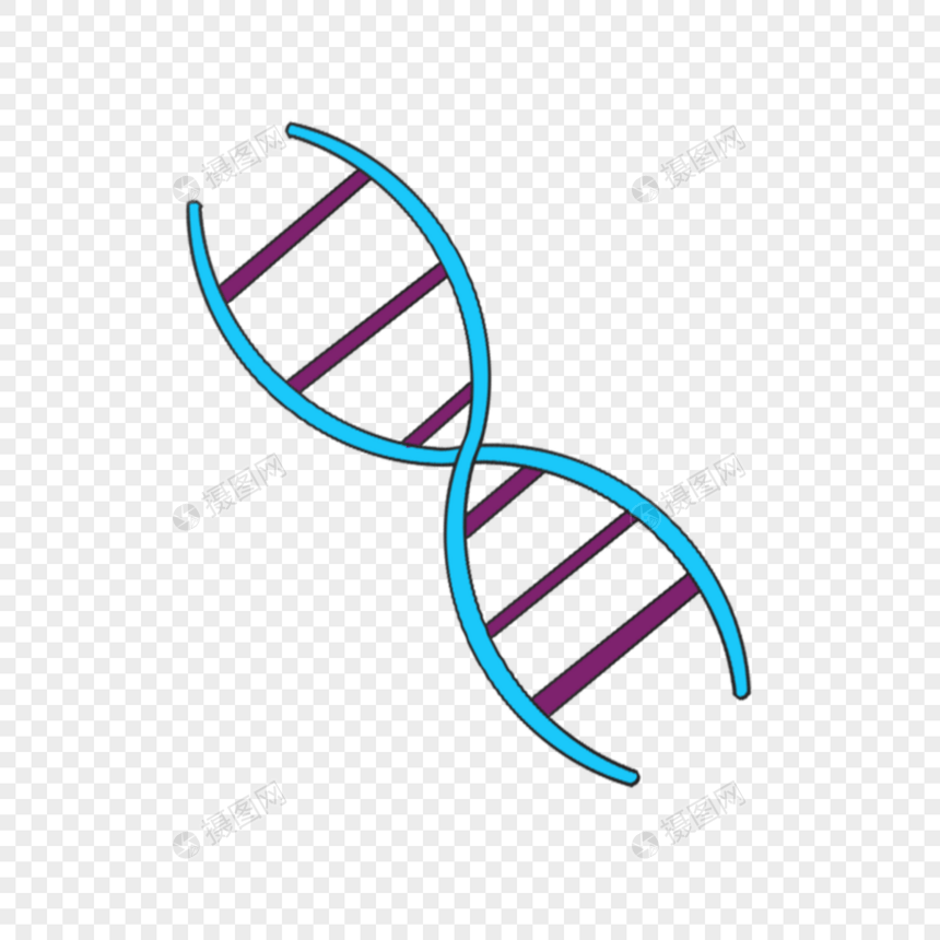 螺旋结构科学教育元素剪贴画图片