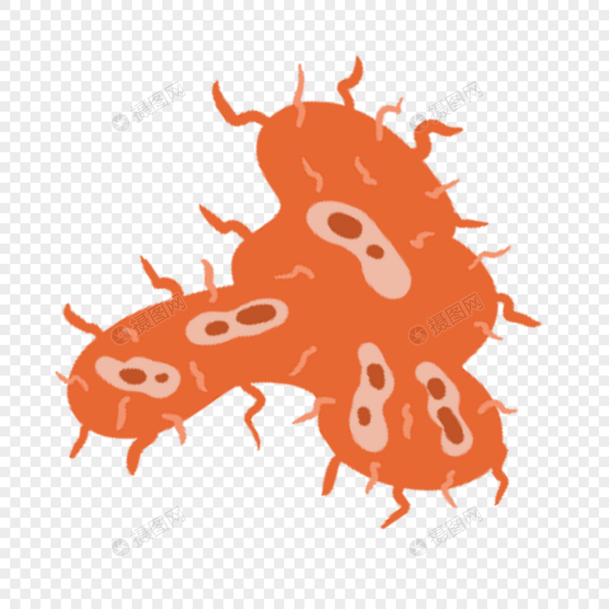 橙色卡通可爱分裂细菌微生物图片