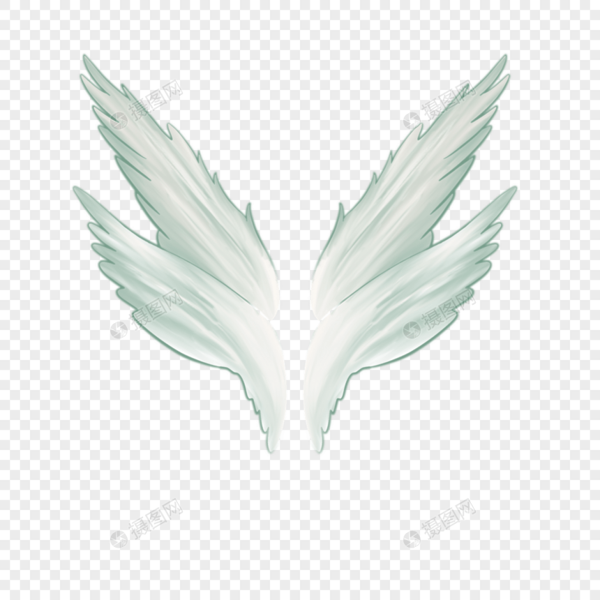 白色翅膀材料图片