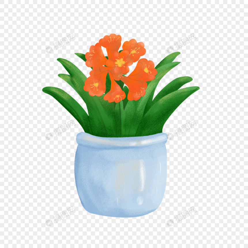 创意室内盆栽植物花卉图形图片