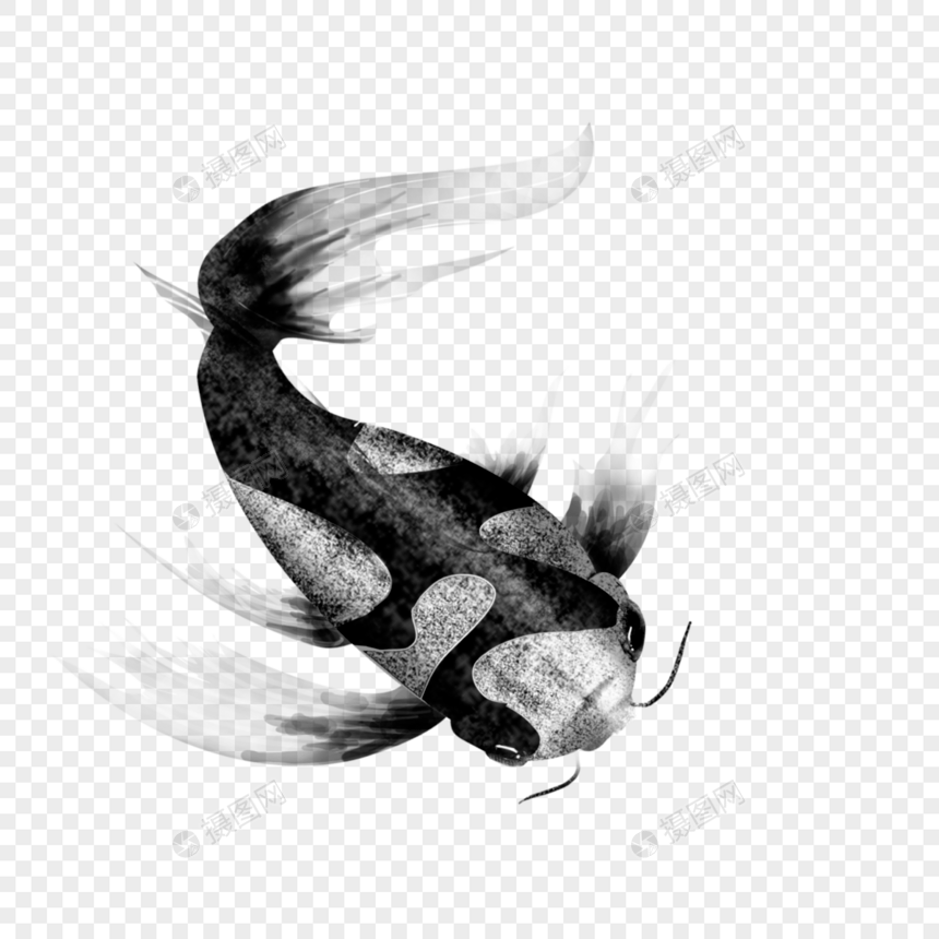 游动的黑色锦鲤剪贴画图片