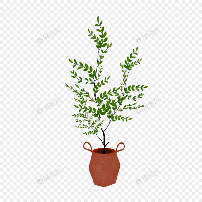 细长枝叶的立体盆栽植物图片