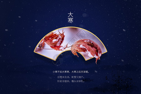 红鱼与蓝鱼蓝金中式大寒海报设计图片