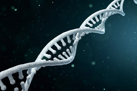 三维DNA模型场景图片