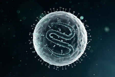 三维麻疹病毒模型高清图片