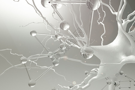 三维神经模型图片