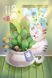 温馨立春多肉植物和小猫节气插画图片