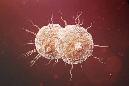 三维淋病奈瑟菌模型背景图片