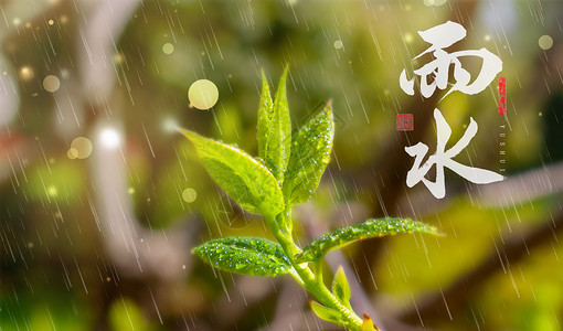 清新雨水背景图片