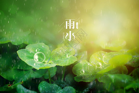 绿色雨水海报绿色简约雨水背景设计图片