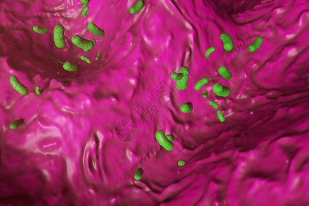 氧的三维幽门螺旋杆菌感染场景设计图片