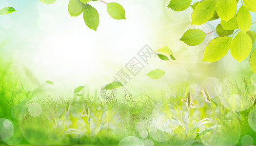 青草与天空绿叶纷飞春天背景设计图片