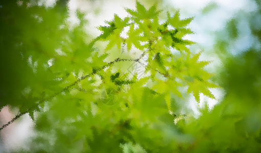 春天背景抽象油画绿色高清图片