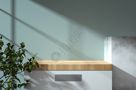 柜子里低饱和植物光影展示台设计图片
