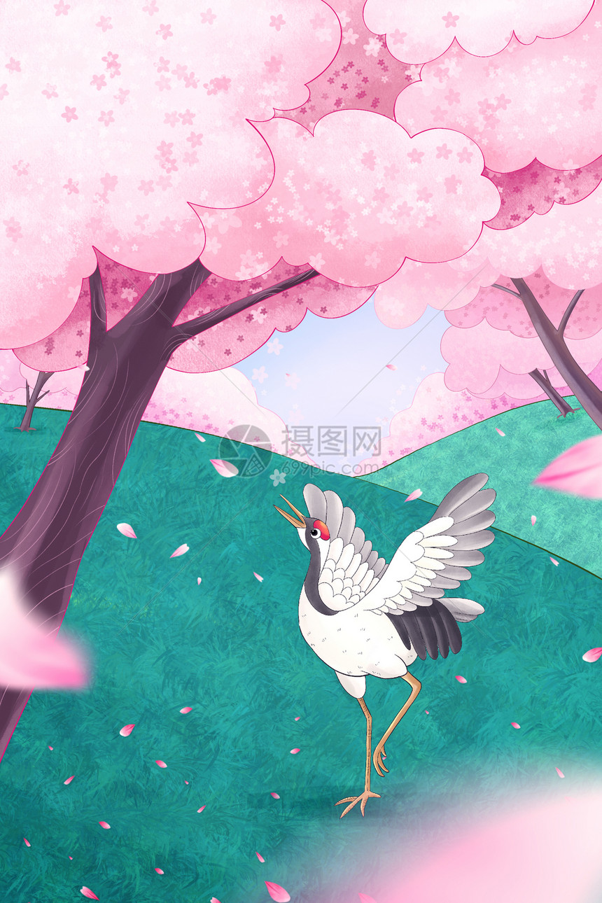 樱花树下的丹顶鹤背景插画图片