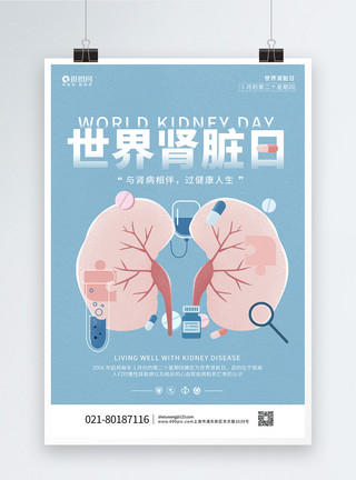 器官捐献蓝色背景扁平风世界肾脏日海报模板